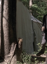 twd905_1617.jpg