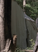 twd905_1618.jpg