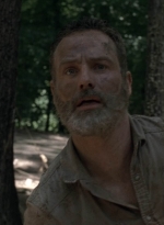 twd905_1620.jpg