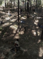 twd905_1627.jpg