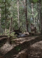 twd905_1632.jpg