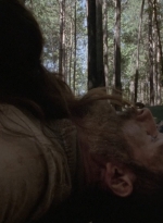twd905_1648.jpg