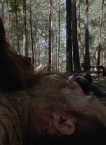 twd905_1650.jpg