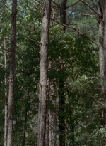 twd905_1655.jpg