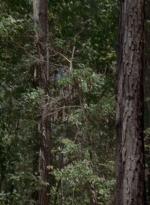 twd905_1656.jpg