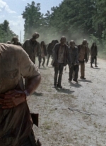 twd905_1682.jpg