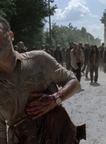 twd905_1688.jpg