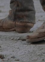 twd905_1689.jpg