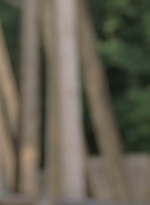 twd905_1698.jpg