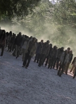 twd905_1703.jpg