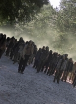 twd905_1704.jpg