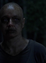 twd912_2434.jpg