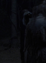 twd912_2484.jpg