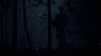 Click to view full size image
==============
twd913_0002.jpg twd913_0002.jpg