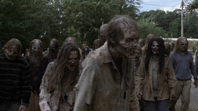 Click to view full size image
==============
twd913_1611.jpg twd913_1611.jpg