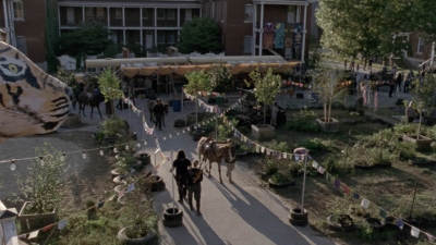 Click to view full size image
==============
twd913_2054.jpg twd913_2054.jpg