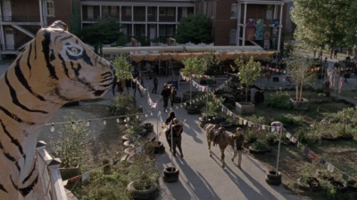 Click to view full size image
==============
twd913_2056.jpg twd913_2056.jpg