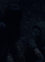 twd913_0053.jpg