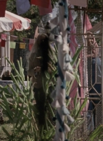 twd913_0237.jpg