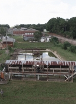 twd913_0621.jpg