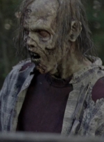 twd913_1455.jpg