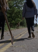 twd913_1458.jpg