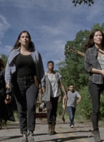 twd913_1460.jpg