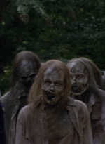 twd913_1598.jpg