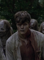 twd913_1600.jpg