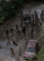 twd913_1606.jpg