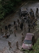 twd913_1607.jpg