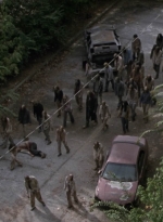twd913_1608.jpg
