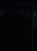 twd913_1676.jpg