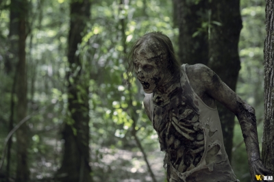 the-walking-dead-s10e01-lines-we-cross-015.jpg