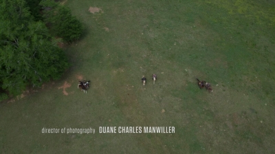 Click to view full size image
==============
twd1001_0324.jpg twd1001_0324.jpg