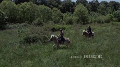 Click to view full size image
==============
twd1001_0370.jpg twd1001_0370.jpg