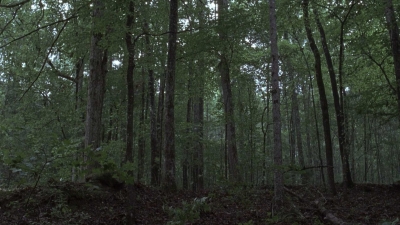 Click to view full size image
==============
twd1001_0374.jpg twd1001_0374.jpg