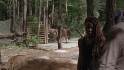 Click to view full size image
==============
twd1001_0669.jpg twd1001_0669.jpg