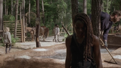 Click to view full size image
==============
twd1001_0672.jpg twd1001_0672.jpg