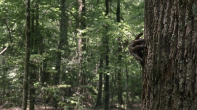 twd1001_1519.jpg