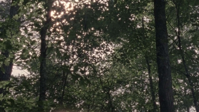 Click to view full size image
==============
twd1001_1599.jpg twd1001_1599.jpg
