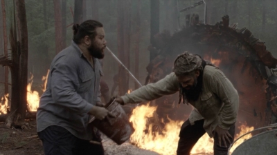 Click to view full size image
==============
twd1001_1890.jpg twd1001_1890.jpg