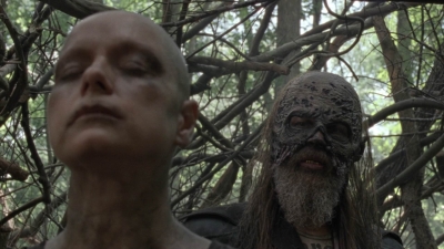 twd1002_1104.jpg