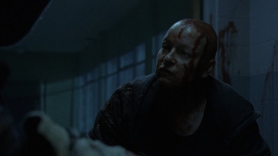 twd1002_1275.jpg