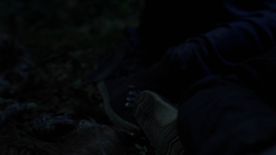 twd1002_1331.jpg