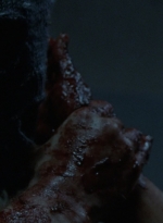 twd1002_1308.jpg