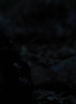 twd1002_1328.jpg