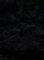 twd1002_1329.jpg
