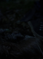 twd1002_1330.jpg