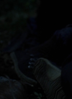 twd1002_1331.jpg